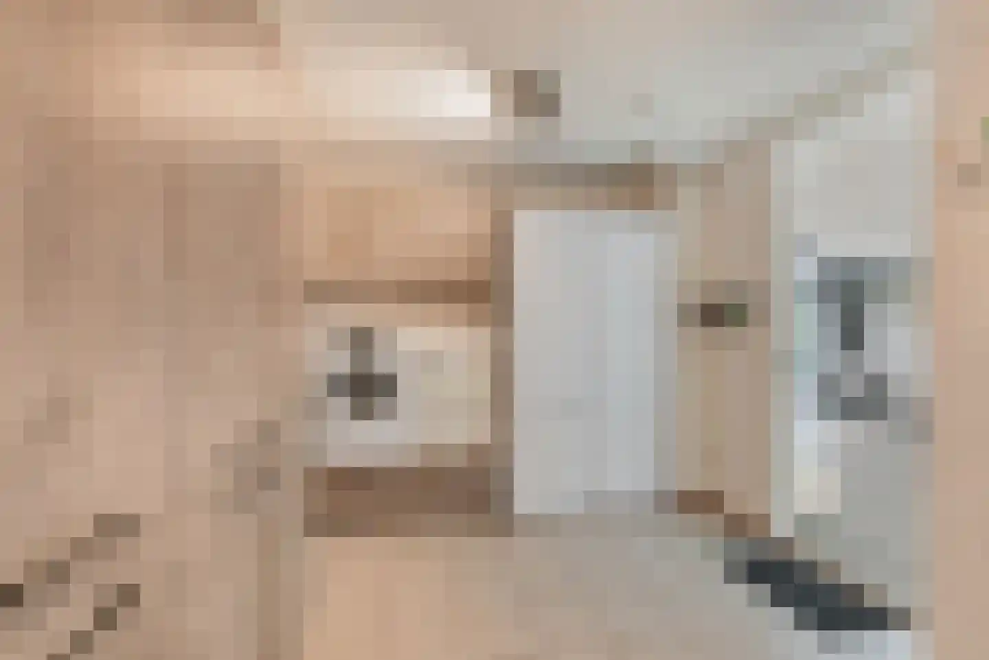 Tamboershof 12 Huissen thumbnail 14