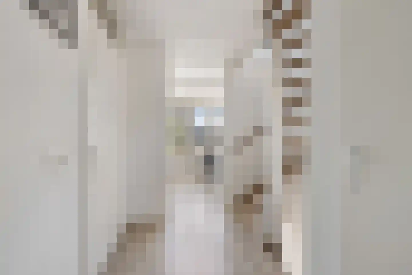 Tamboershof 12 Huissen thumbnail 21