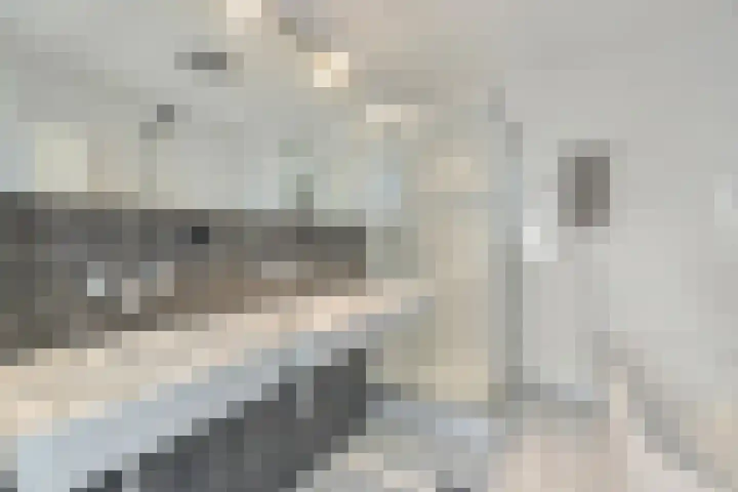 Tamboershof 12 Huissen thumbnail 25