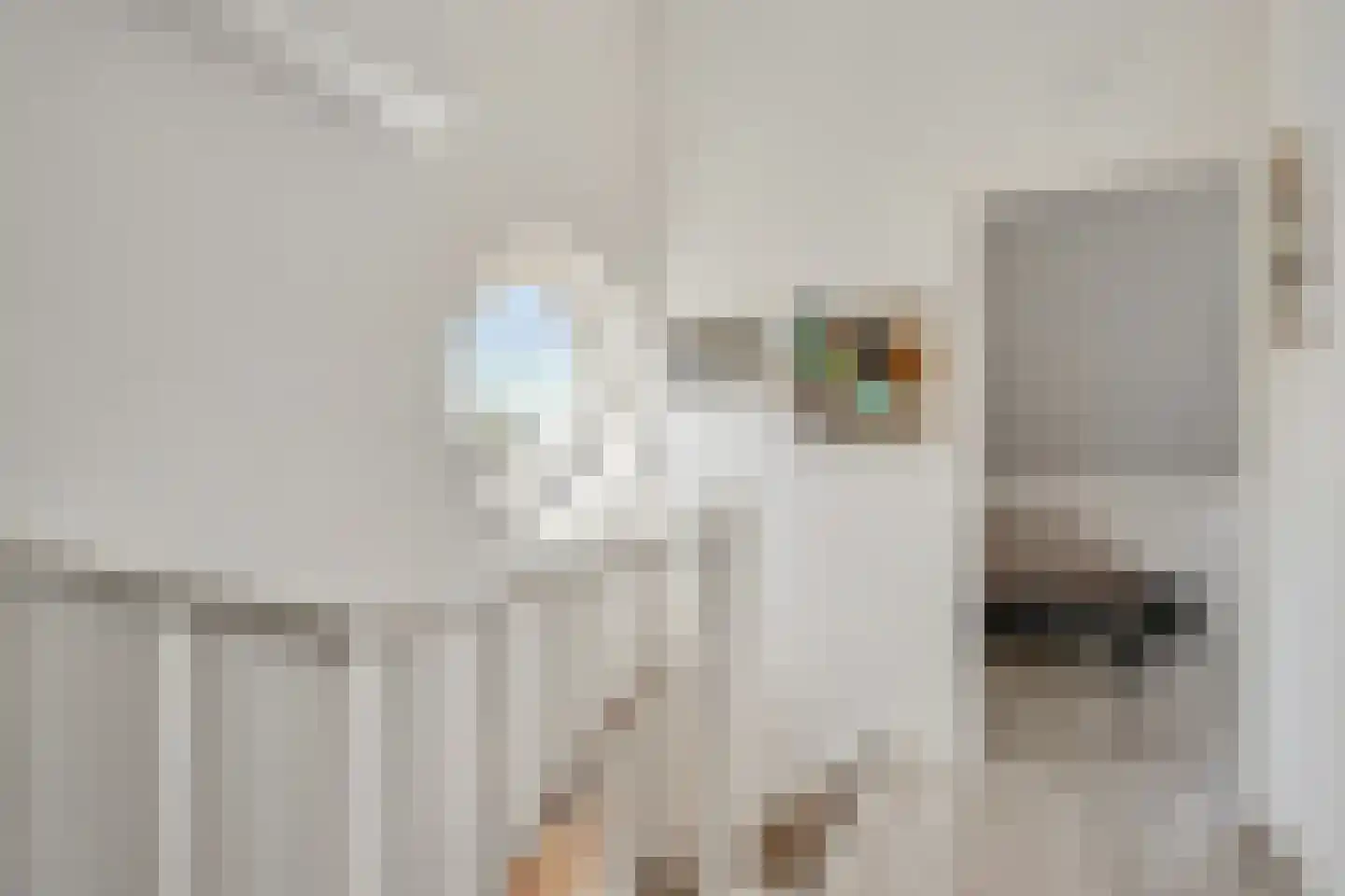 Tamboershof 12 Huissen thumbnail 27