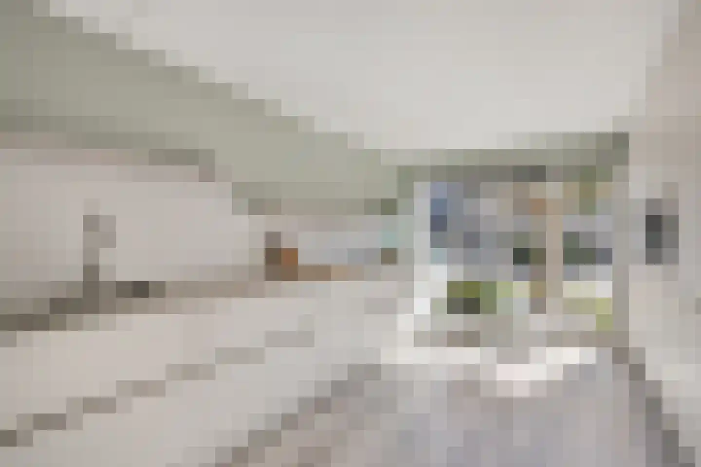 Tamboershof 12 Huissen thumbnail 4