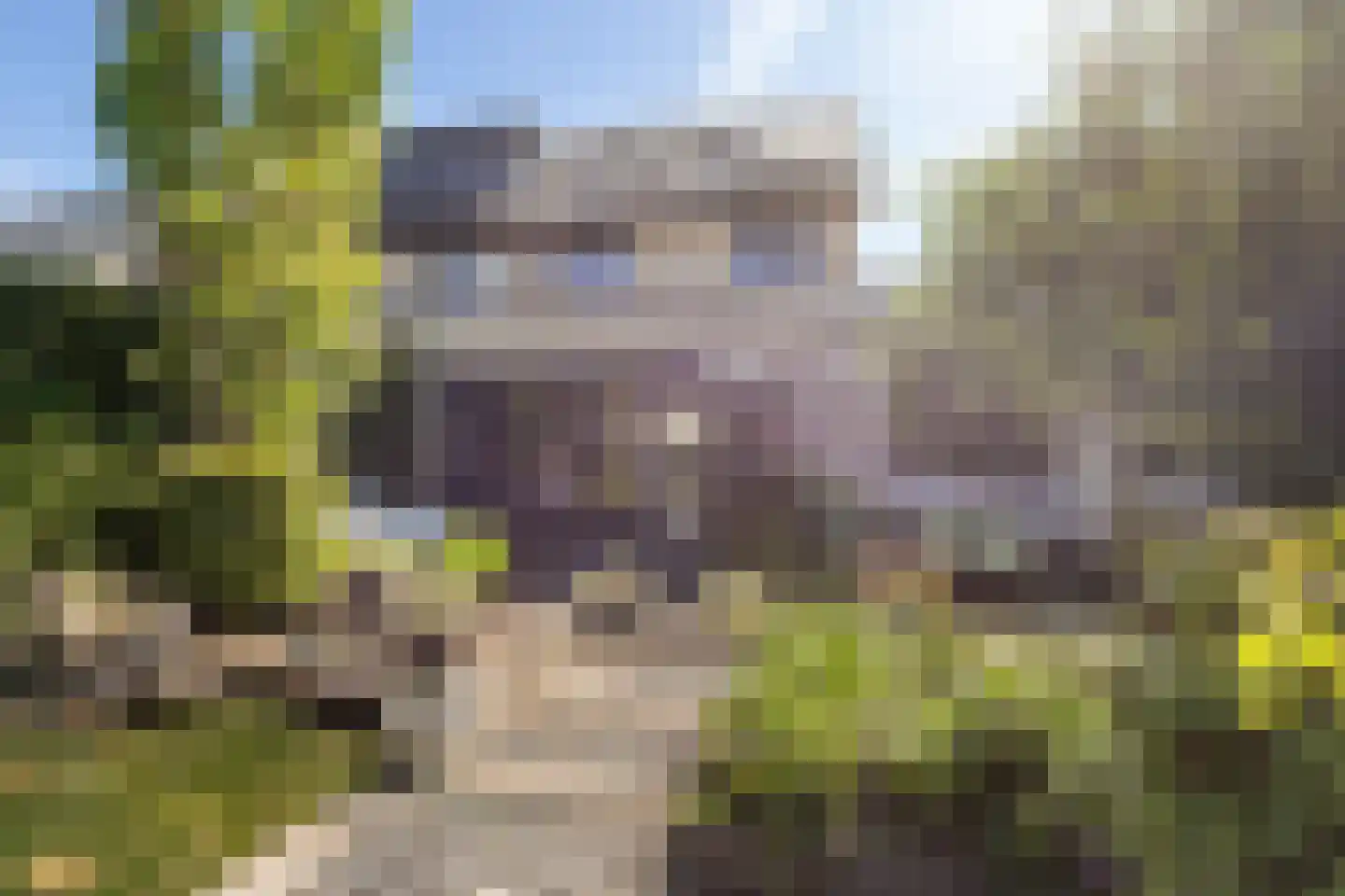 Tamboershof 12 Huissen thumbnail 5