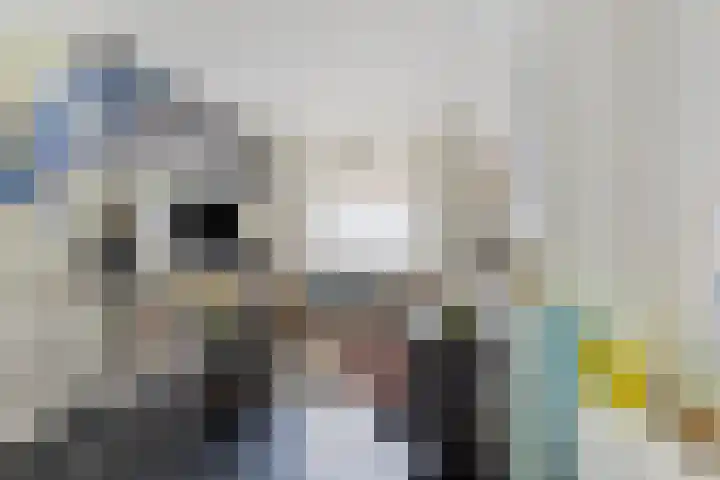 Tamboerslaantje 17 Deventer thumbnail 17
