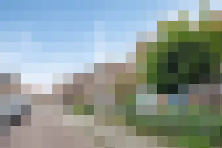 Tamboerslaantje 17 Deventer thumbnail 6