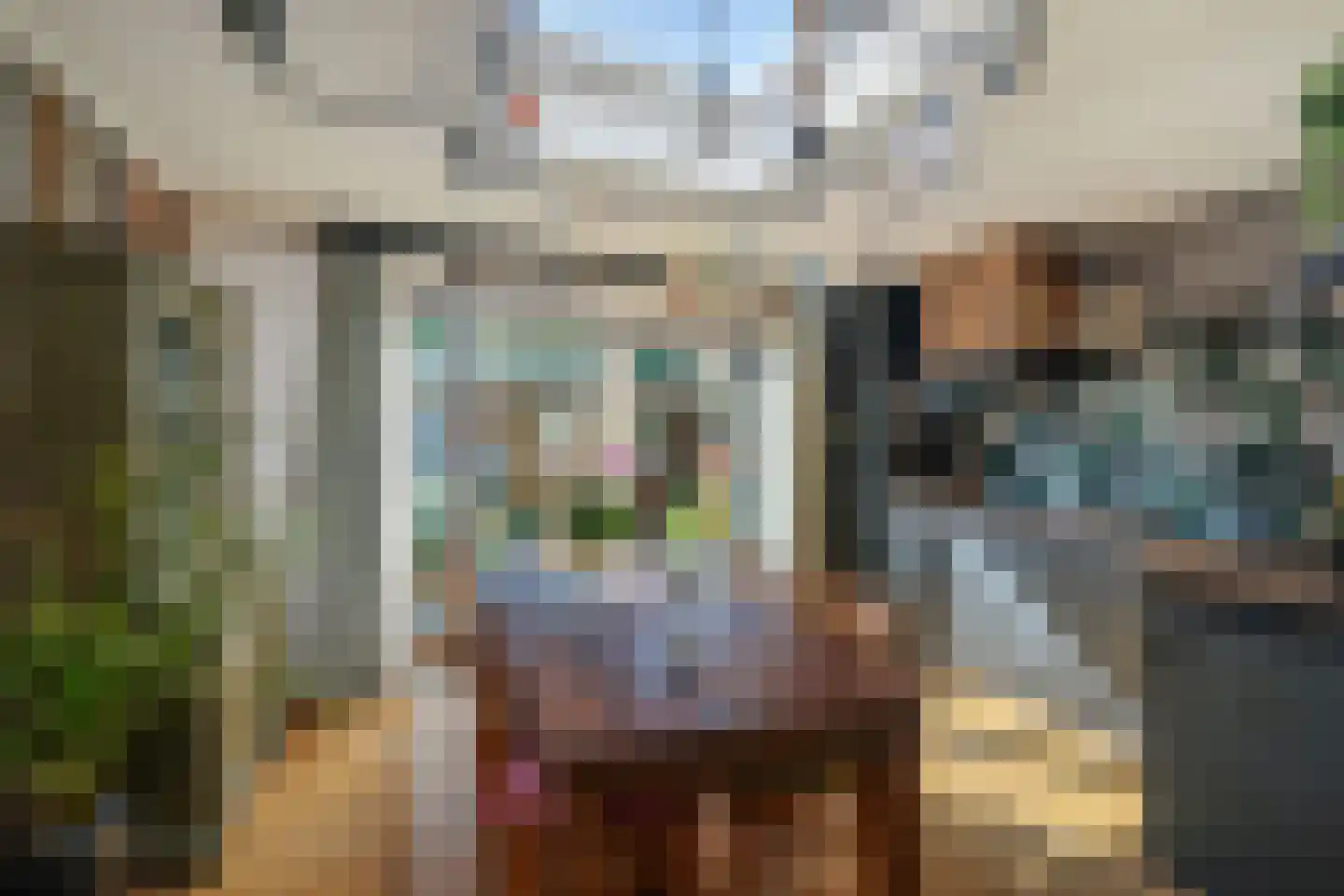 Tamboerslaantje 18 Deventer thumbnail 5