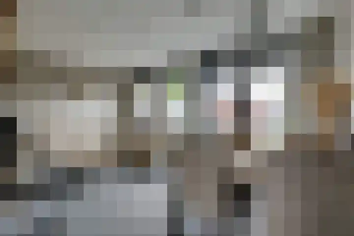 Tamboerstraat 10 Didam thumbnail 25