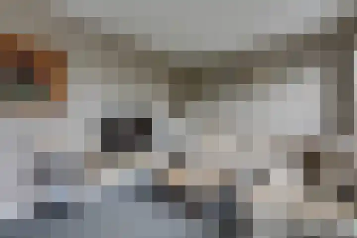 Tamboerstraat 10 Didam thumbnail 26