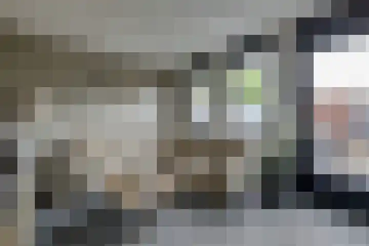 Tamboerstraat 10 Didam thumbnail 27
