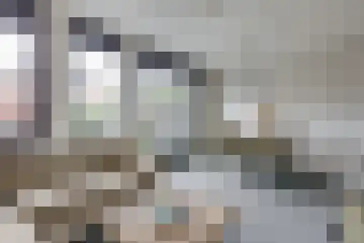 Tamboerstraat 10 Didam thumbnail 28