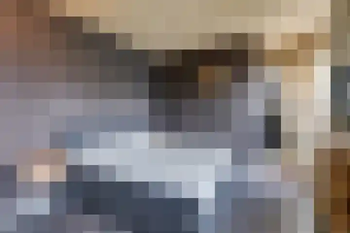 Tamboerstraat 10 Didam thumbnail 39