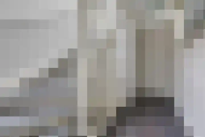 Tamboerstraat 10 Didam thumbnail 48