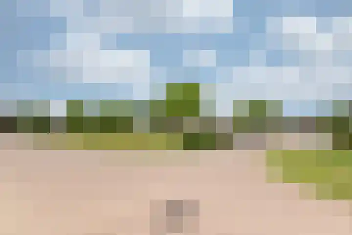 Tamboerstraat 10 Didam thumbnail 9
