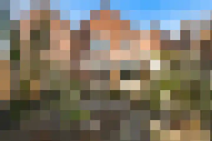 Tamboerstraat 15 Weert thumbnail 5