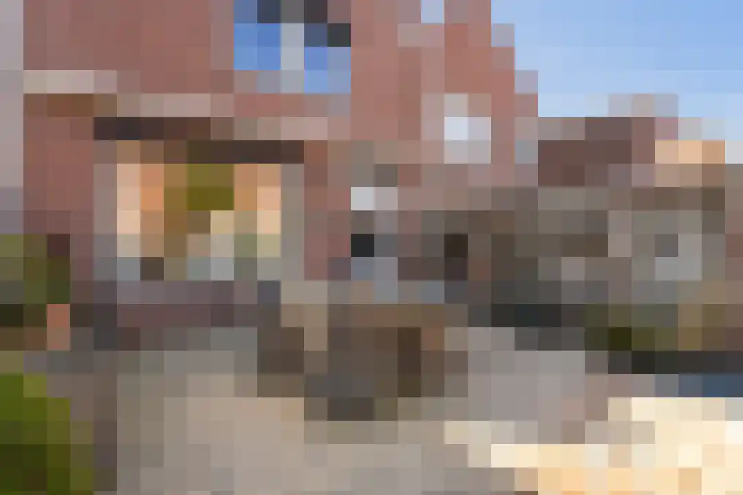 Tamboerstraat 17 Weert thumbnail 38