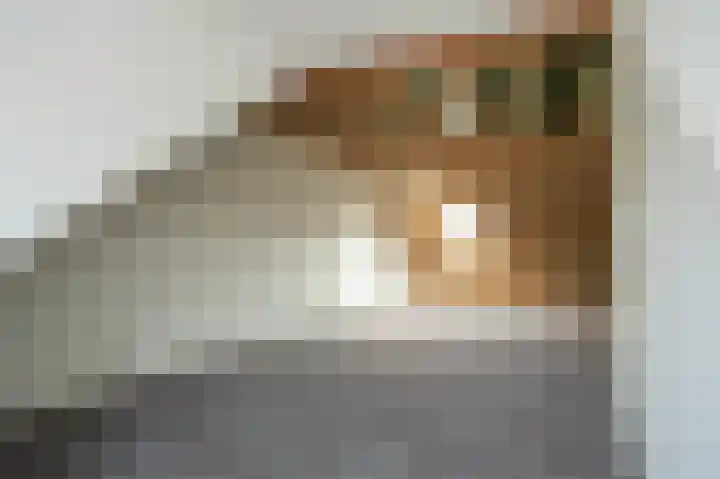 Tamerisstraat 6 Veen thumbnail 19
