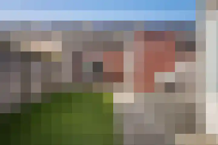 Tamerisstraat 6 Veen thumbnail 23