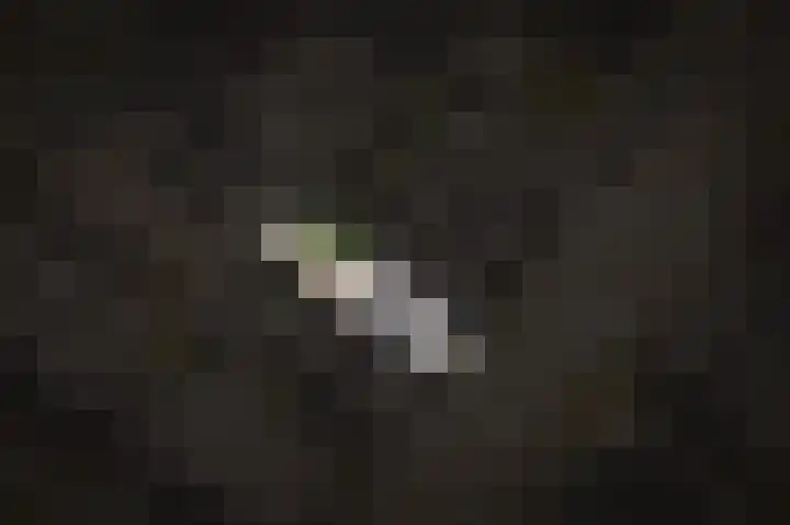 Tamerisstraat 6 Veen thumbnail 29