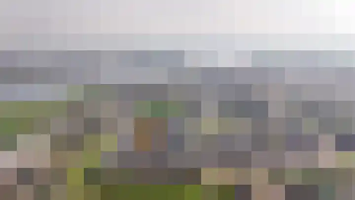 Tamerisstraat 6 Veen thumbnail 30