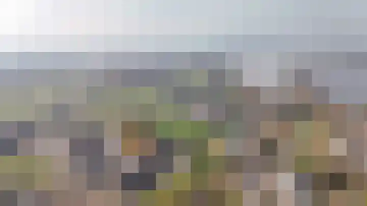 Tamerisstraat 6 Veen thumbnail 31