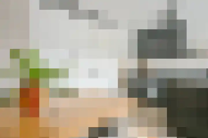 Tames Visserstraat 1 C Schermerhorn thumbnail 6