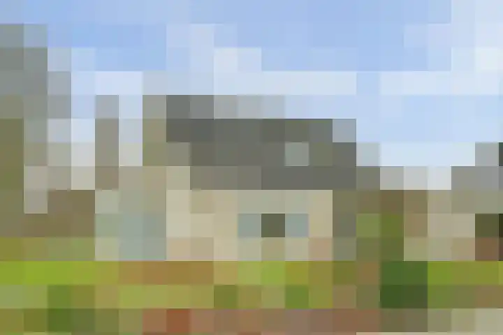 Taminiausingel 3 Elst