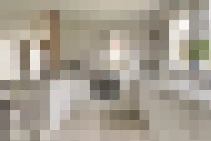 Taminiausingel 3 Elst thumbnail 10