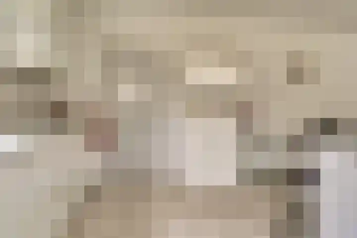 Taminiausingel 3 Elst thumbnail 11