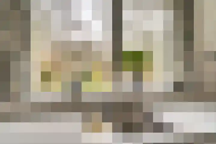 Taminiausingel 3 Elst thumbnail 12