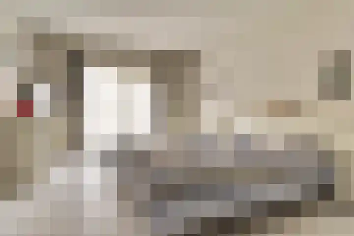 Taminiausingel 3 Elst thumbnail 13
