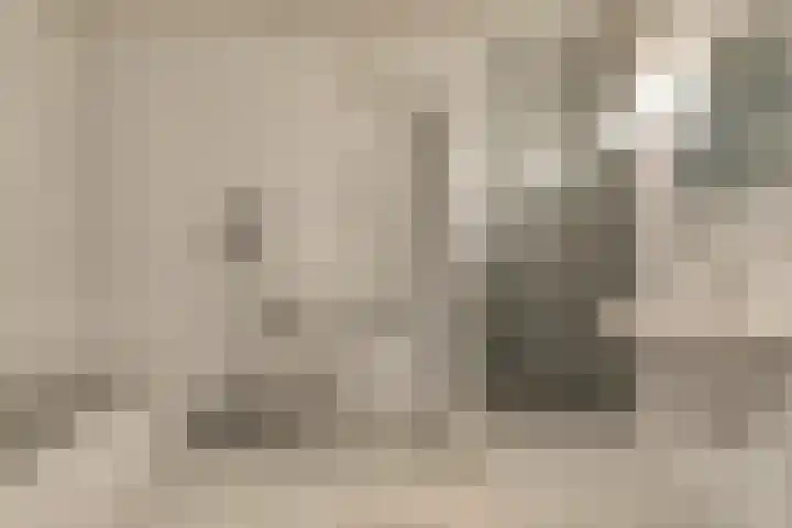 Taminiausingel 3 Elst thumbnail 16