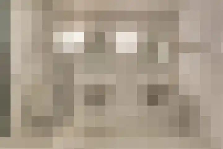 Taminiausingel 3 Elst thumbnail 17