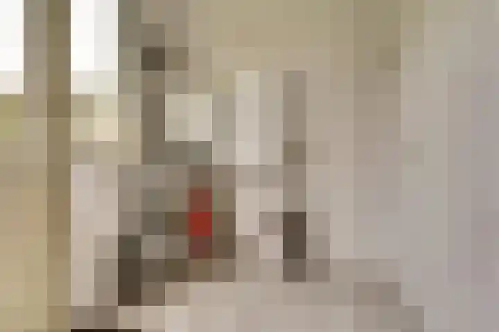 Taminiausingel 3 Elst thumbnail 19