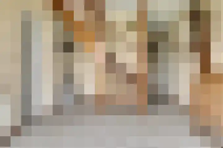 Taminiausingel 3 Elst thumbnail 21