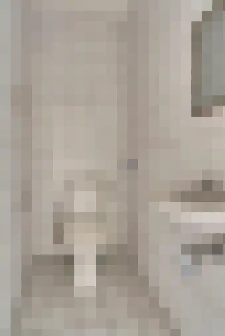Taminiausingel 3 Elst thumbnail 22