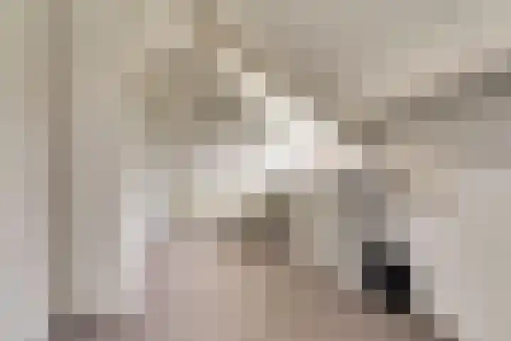 Taminiausingel 3 Elst thumbnail 28