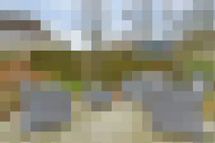 Taminiausingel 3 Elst thumbnail 30