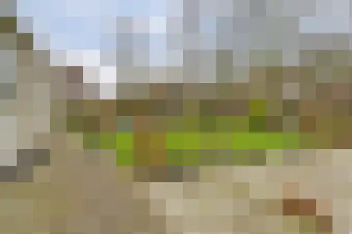 Taminiausingel 3 Elst thumbnail 31