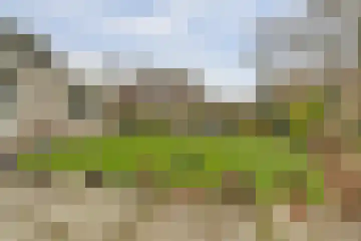 Taminiausingel 3 Elst thumbnail 32