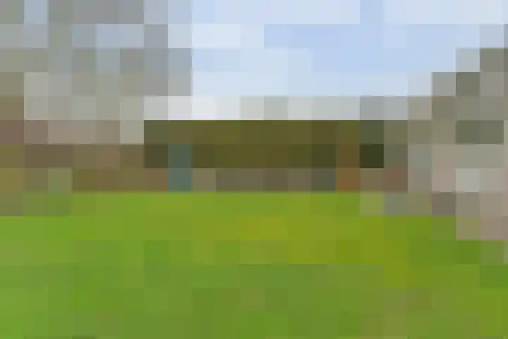 Taminiausingel 3 Elst thumbnail 33