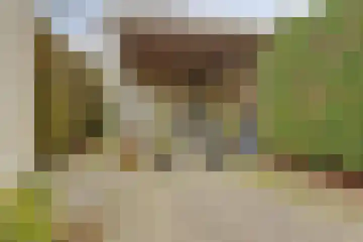 Taminiausingel 3 Elst thumbnail 34