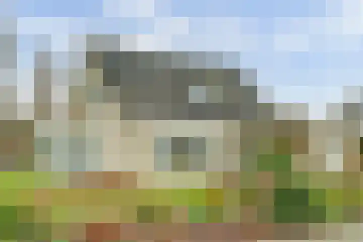 Taminiausingel 3 Elst thumbnail 35