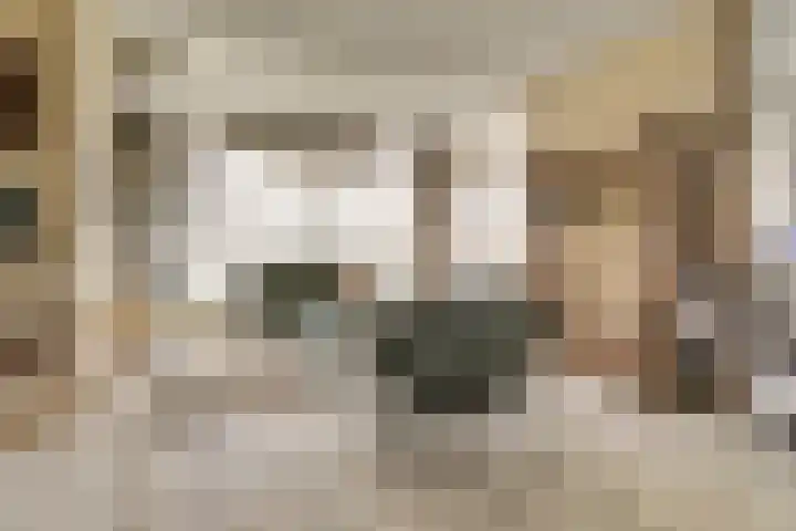 Taminiausingel 3 Elst thumbnail 4
