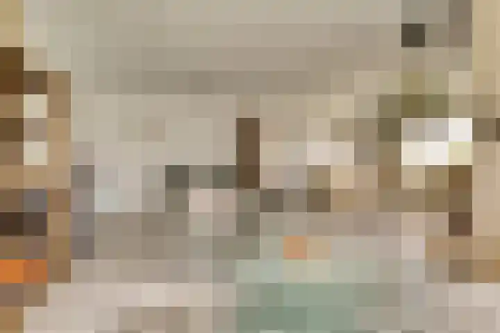 Taminiausingel 3 Elst thumbnail 7