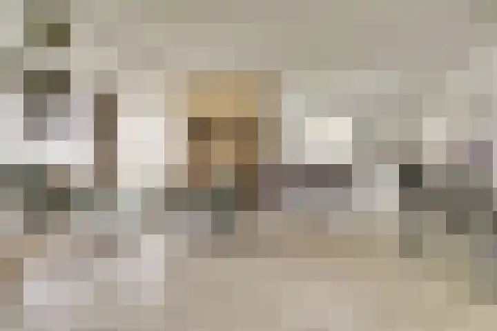 Taminiausingel 3 Elst thumbnail 8