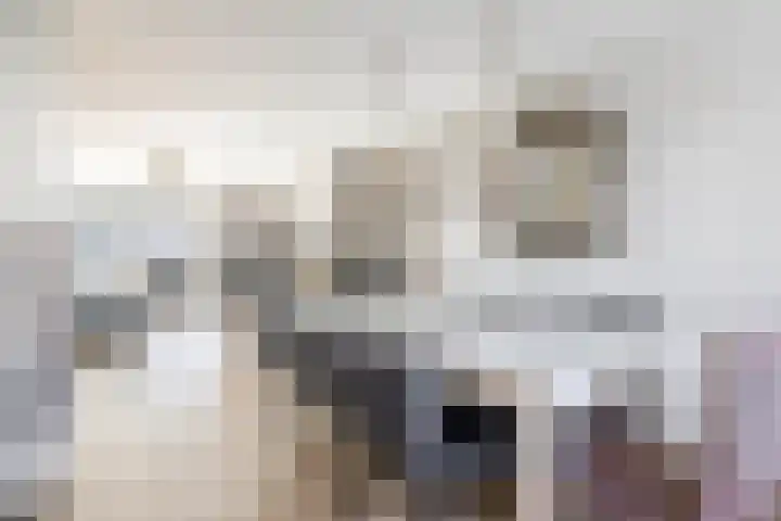Tamis Weer 25 Assendelft thumbnail 11