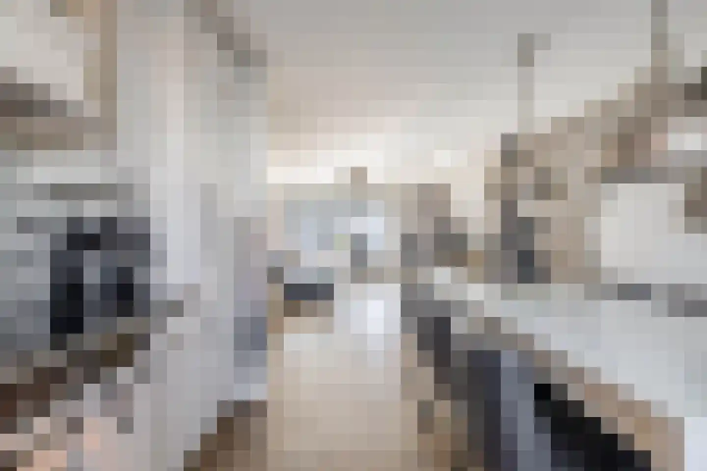 Tamis Weer 25 Assendelft thumbnail 11