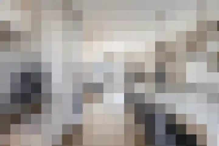 Tamis Weer 25 Assendelft thumbnail 12