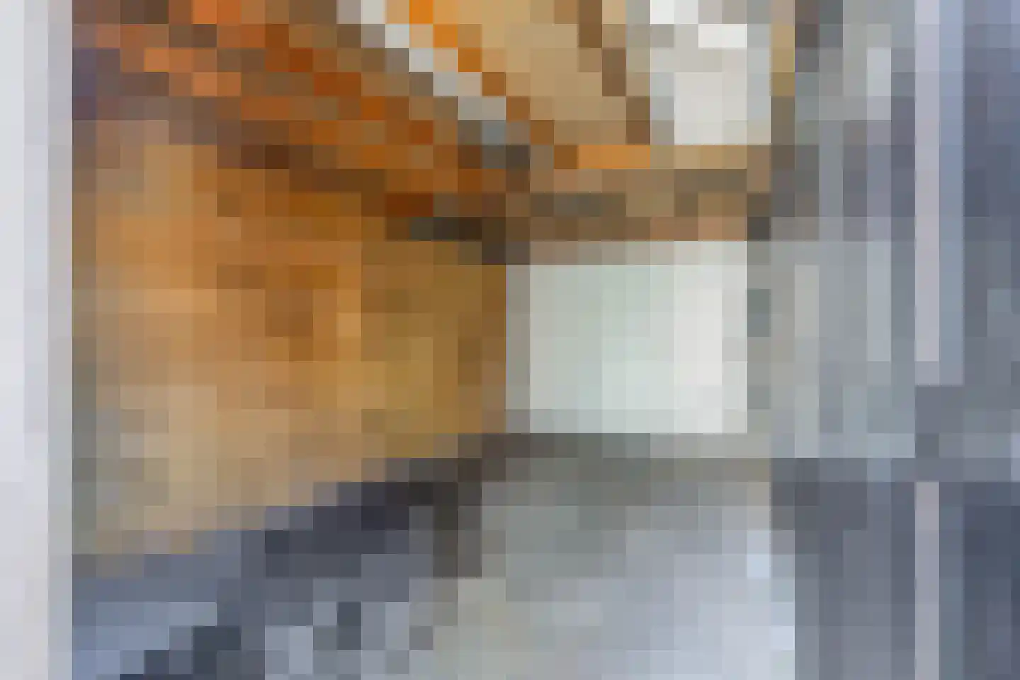 Tamis Weer 25 Assendelft thumbnail 13