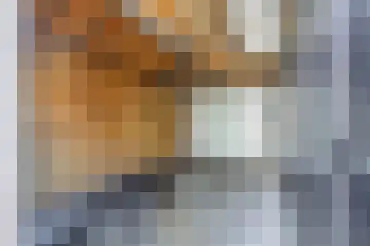 Tamis Weer 25 Assendelft thumbnail 14