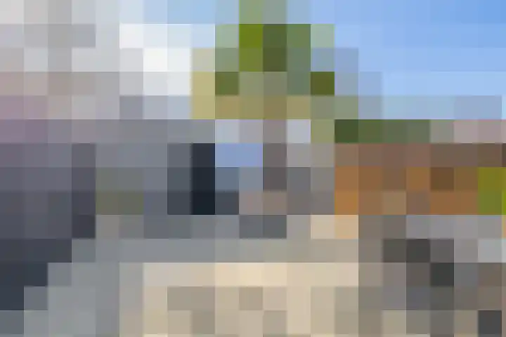 Tamis Weer 25 Assendelft thumbnail 15